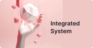 Integrated System